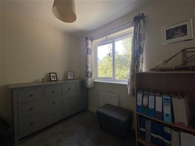 Picture 26
